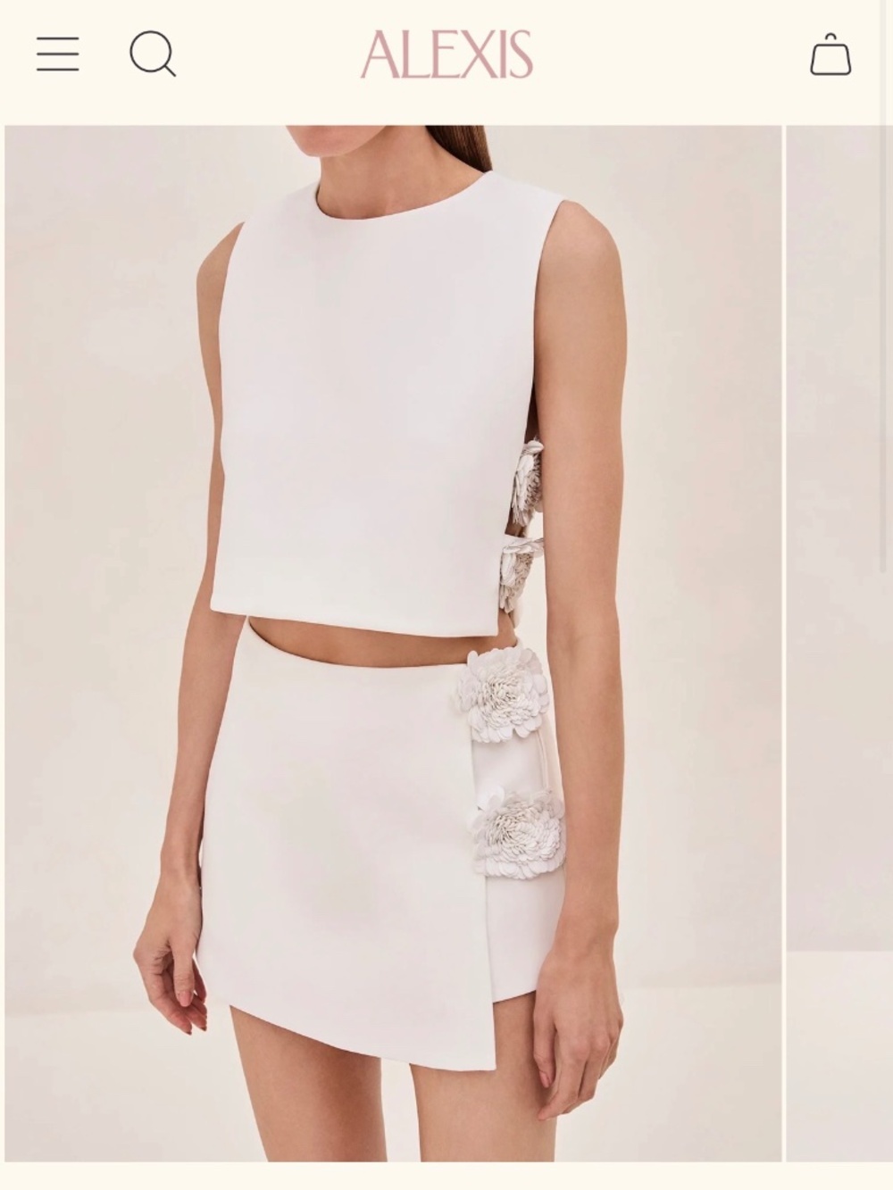 Alexis Raylin Top and Susie Skirt